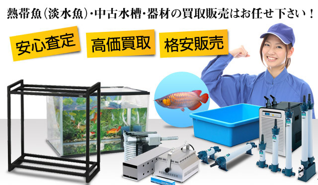 熱帯魚、水槽・器具の買取・販売はAQUAリサイクルへ！